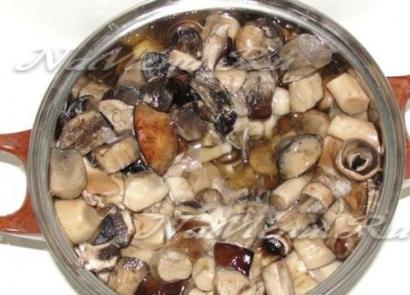 Как чистить грибы: практические советы Как чистить грибы подберезовики перед приготовлением