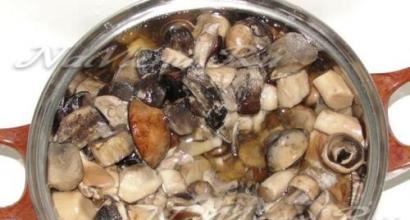 Как чистить грибы: практические советы Как чистить грибы подберезовики перед приготовлением